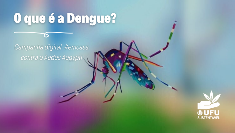 UFU Sustentável no #UFUemcasa e o controle do Aedes aegypti | Diretoria de Sustentabilidade Ambiental UFU Sustentável no #UFUemcasa e o controle do Aedes aegypti | Diretoria de Sustentabilidade Ambiental