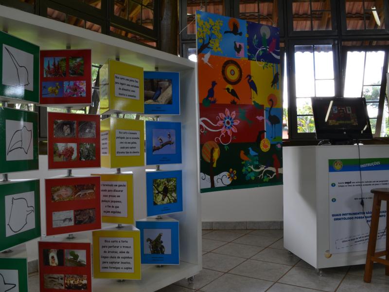 Foto: Eunir Augusto - Museu de Biodiversidade do Cerrado