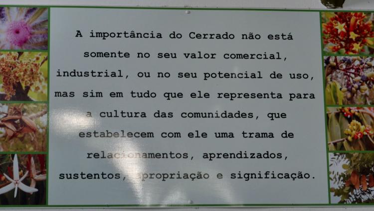Foto: Letícia França - Museu de Biodiversidade do Cerrado